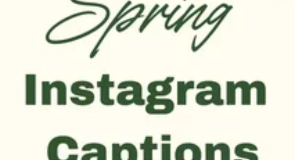 150+ Captions About Spring for Instagram: Cute, Short, Funny & More 150 captions about spring for instagram cute short funny and more