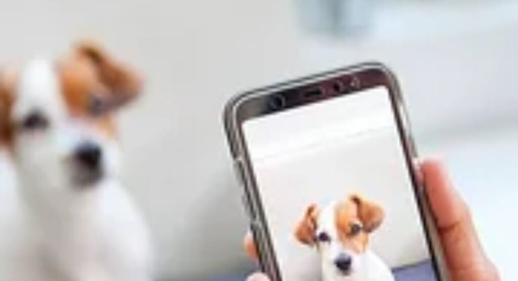 200+ Best Dog Captions for Instagram (2026) 200 best dog captions for instagram 2026