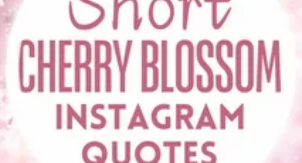aesthetic spring captions for instagram