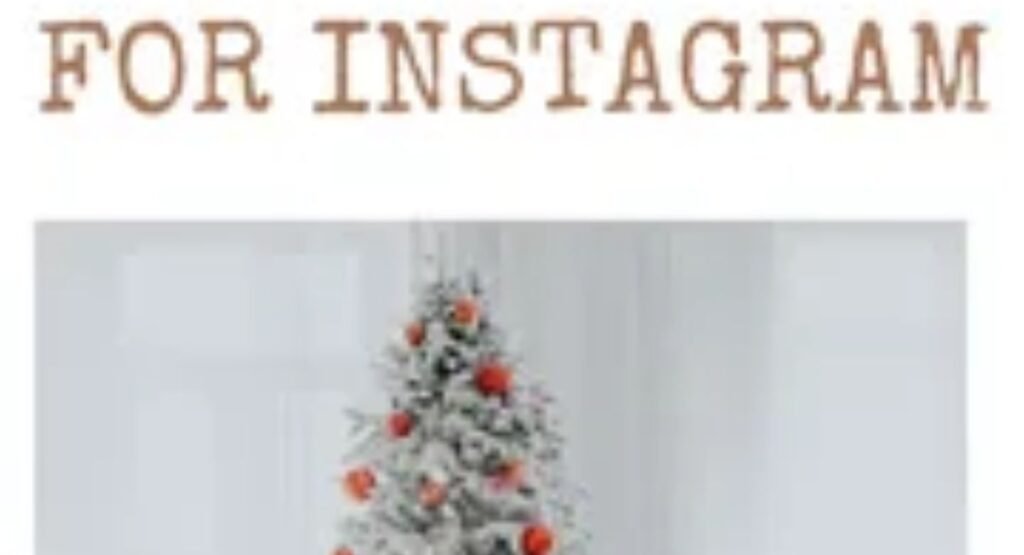 480+ Best Christmas Instagram Captions for Your Holiday Photos christmas tree lights and snow captions