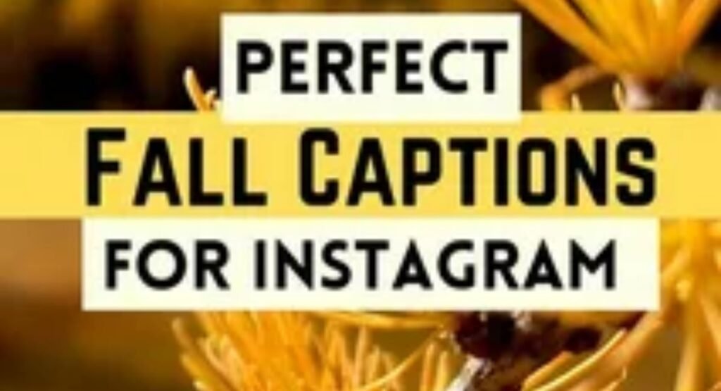 short fall instagram captions