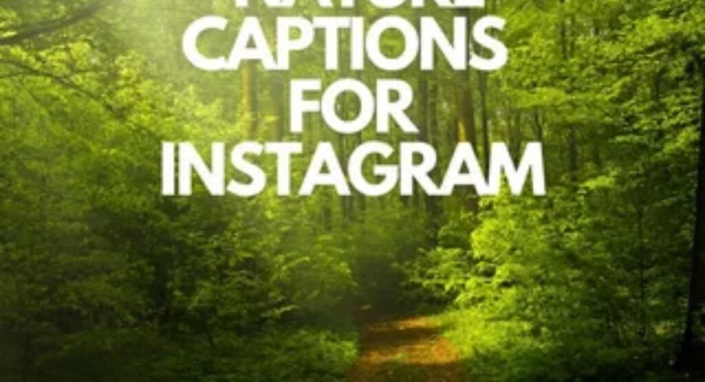 150 short nature captions for instagram copy and paste