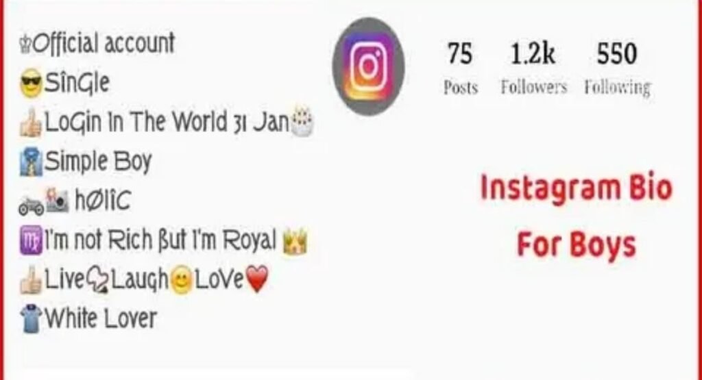 300 best instagram bio for boys stylish font 2026 – attitude vip and cool bios (1)