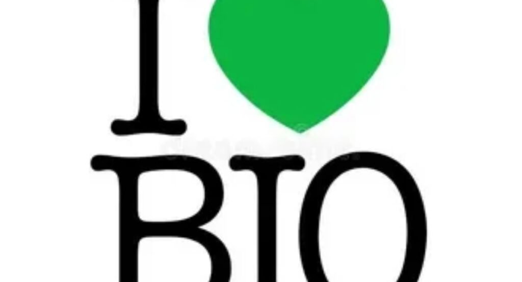 love bio for instagram 300 romantic couple and relationship ideas 2026