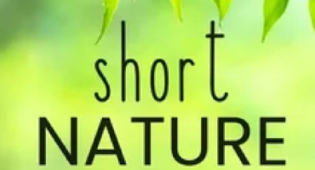 short nature captions for instagram